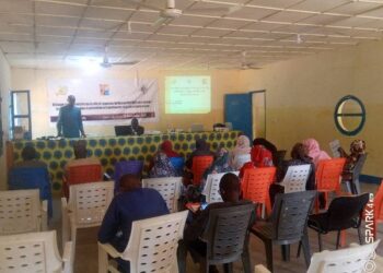 Organisation du dialogue communautaire sur le rôle et l&rsquo;approche du réseau Martaba à Madarounfa