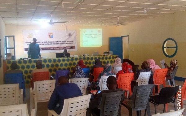 Organisation du dialogue communautaire sur le rôle et l’approche du réseau Martaba à Madarounfa
